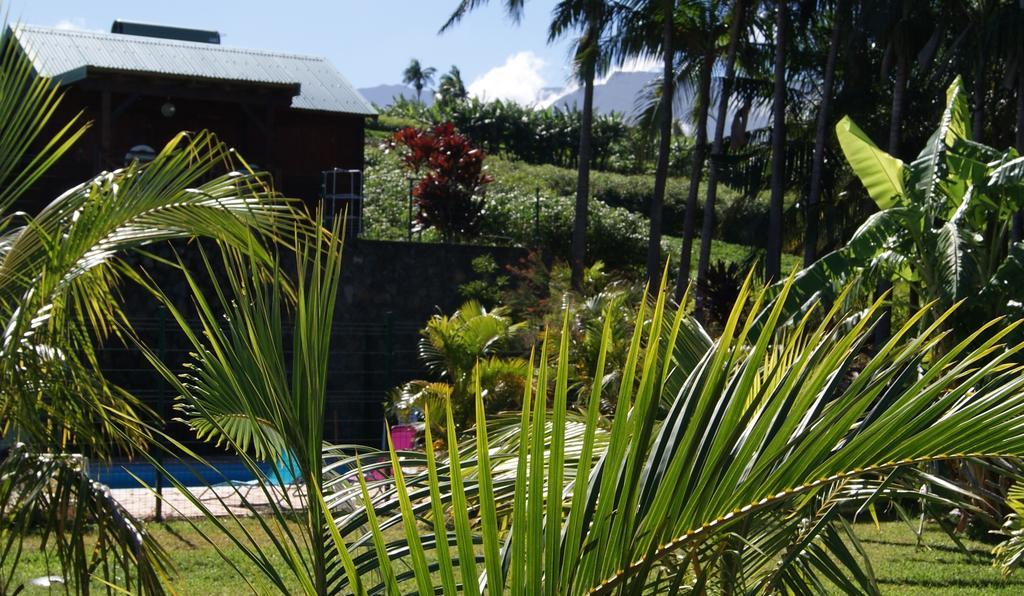 Les Bungalows Les Vanilliers, Sud Sauvage Avec Piscine Saint-Joseph Eksteriør bilde